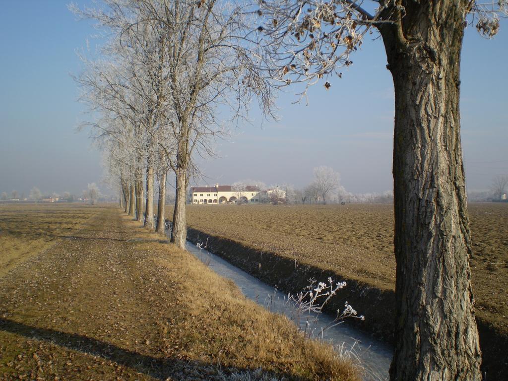 Il Rifugio Del Poeta Guest House San Biagio di Callalta Екстериор снимка
