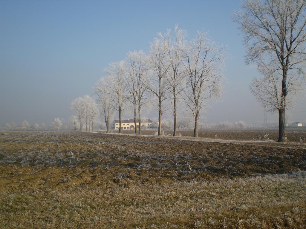 Il Rifugio Del Poeta Guest House San Biagio di Callalta Екстериор снимка